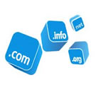 Domain Registration